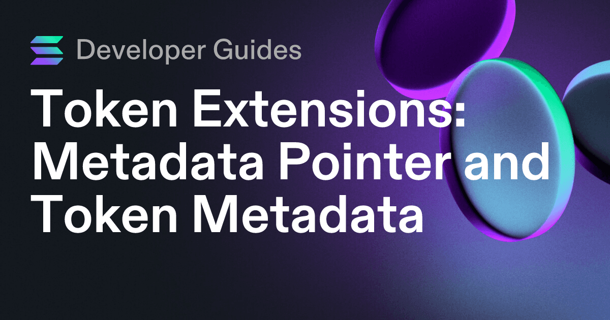 How to use the Metadata Pointer extension